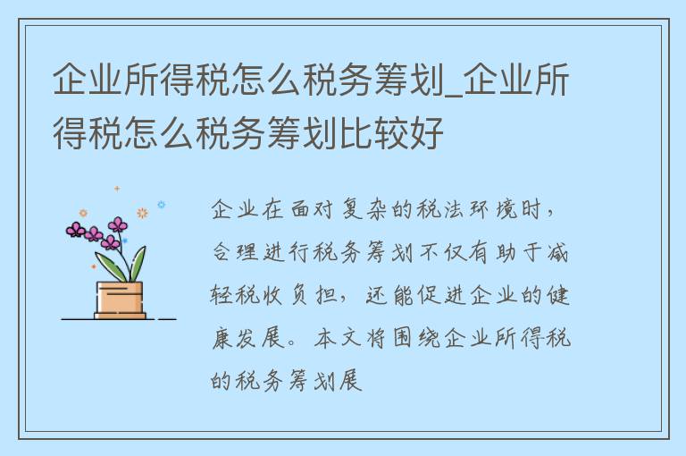 企业所得税怎么税务筹划_企业所得税怎么税务筹划比较好