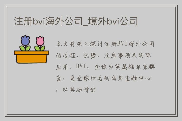 注册bvi海外公司_境外bvi公司