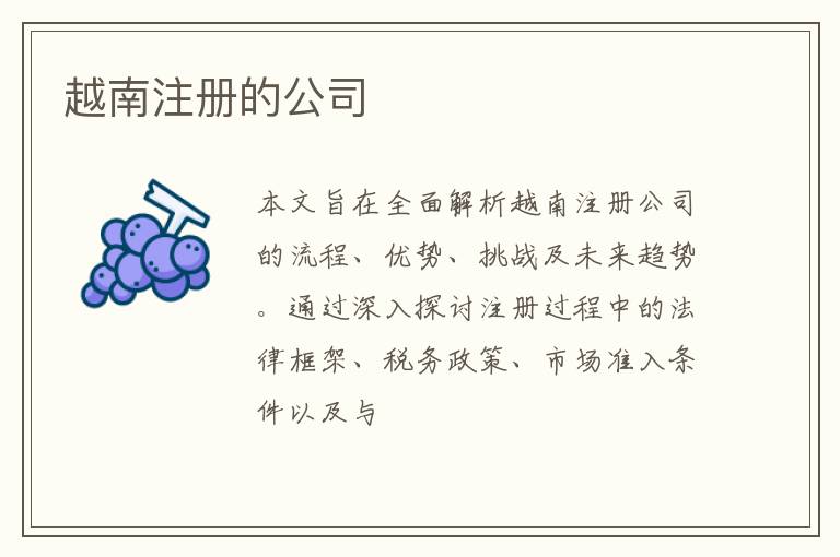 越南注册的公司