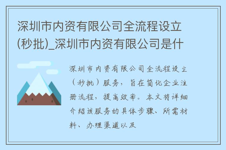 深圳市内资有限公司全流程设立(秒批)_深圳市内资有限公司是什么意思