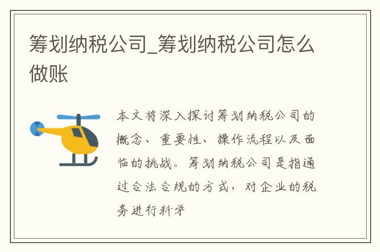 筹划纳税公司_筹划纳税公司怎么做账